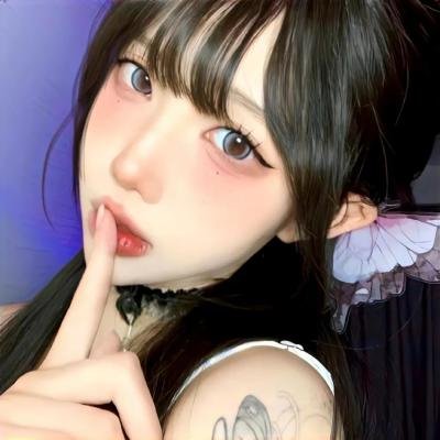 没人瞭波斯猫