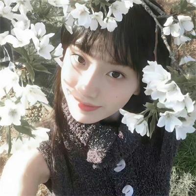 月亮与蛋糕
